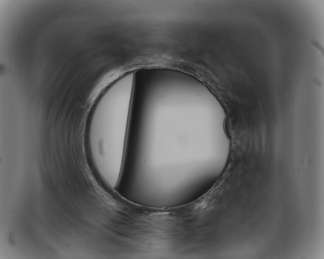 X0000097860054200803140905