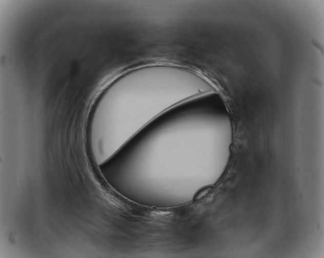 X0000097860055200803140905
