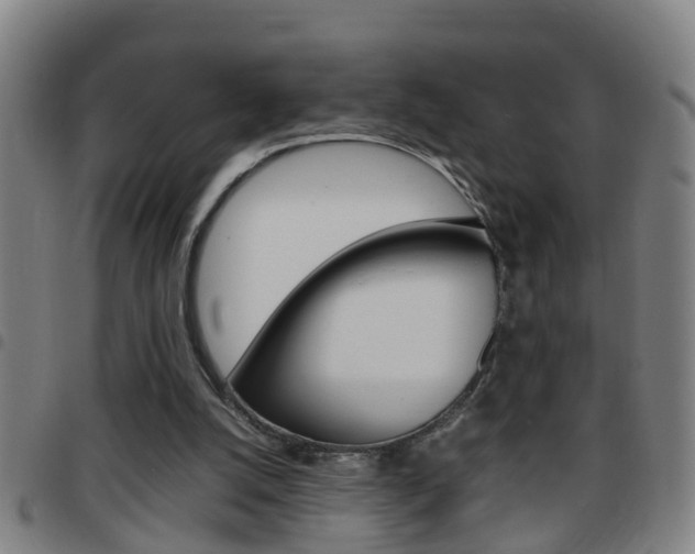 X0000097860056200803140905