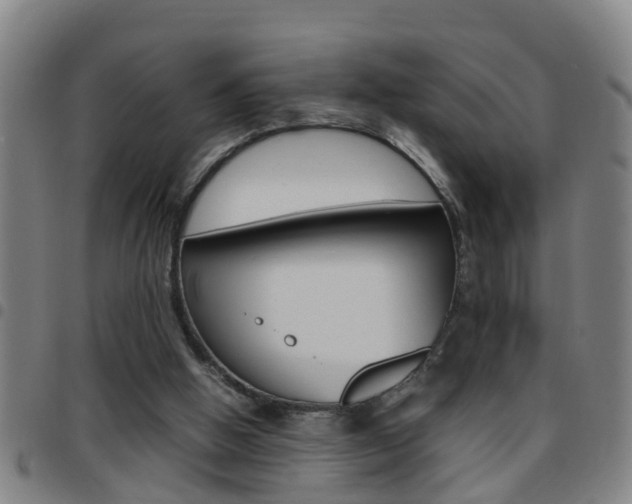 X0000097860058200803140905
