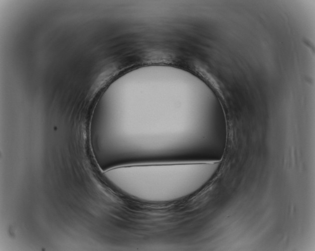 X0000097860059200803140905