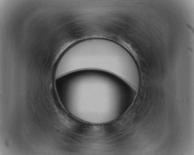 X0000097860060200803140905