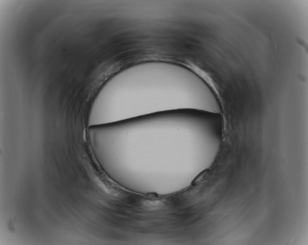 X0000097860061200803140905