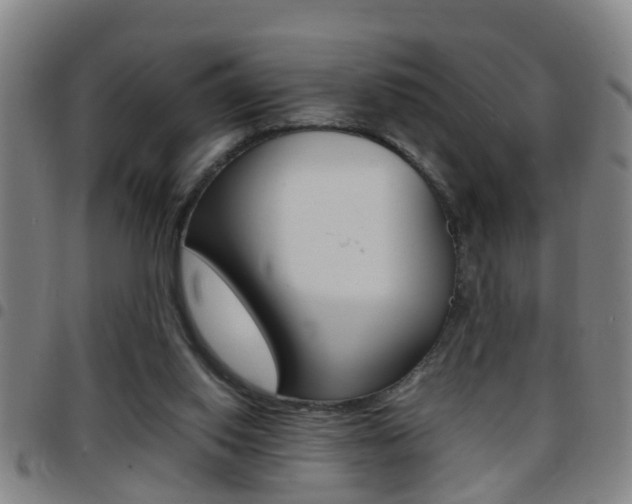 X0000097860062200803140905