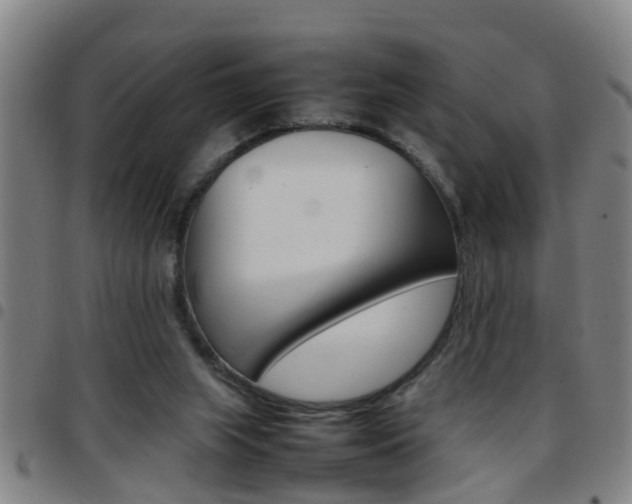 X0000097860063200803140905