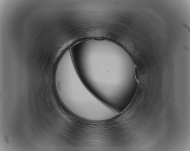 X0000097860064200803140905