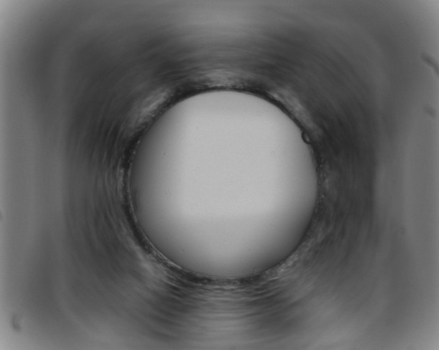 X0000097860066200803140905