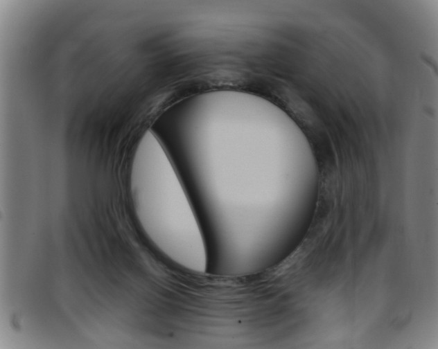 X0000097860070200803140905