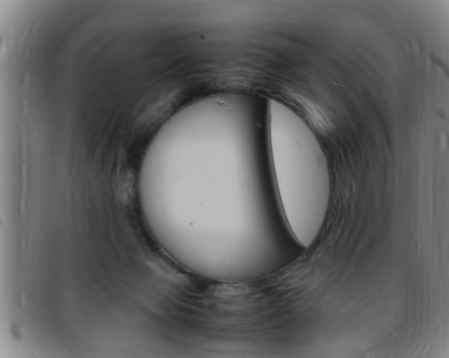X0000097860077200803140905
