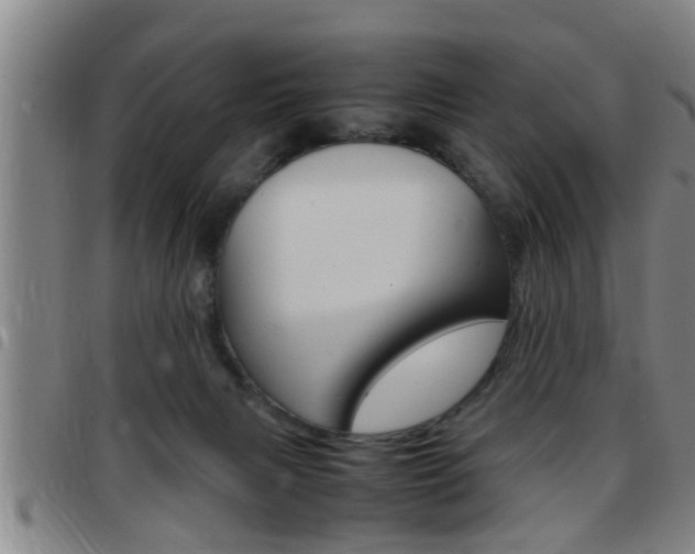 X0000097860079200803140905