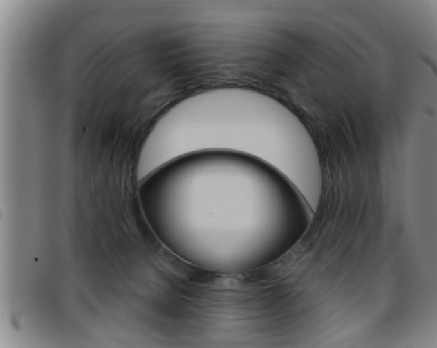 X0000097860080200803140905