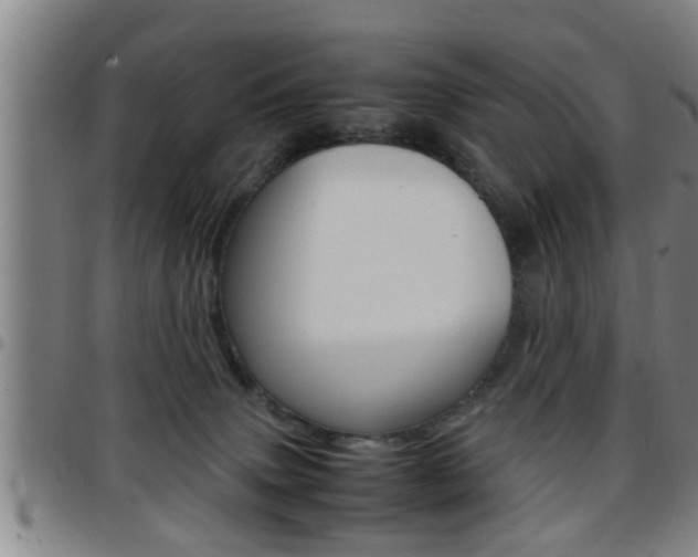 X0000097860083200803140905