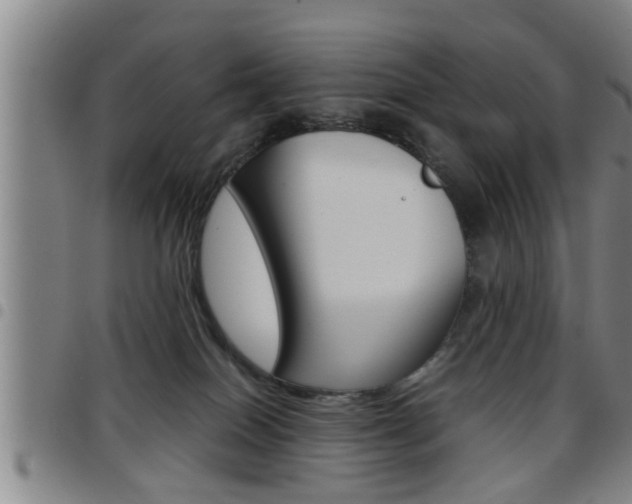 X0000097860086200803140905