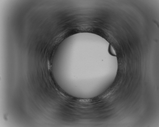 X0000097860089200803140905