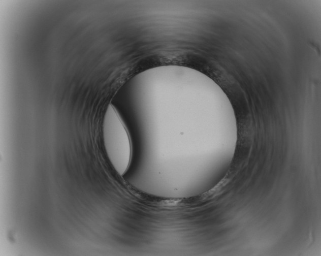 X0000097860090200803140905