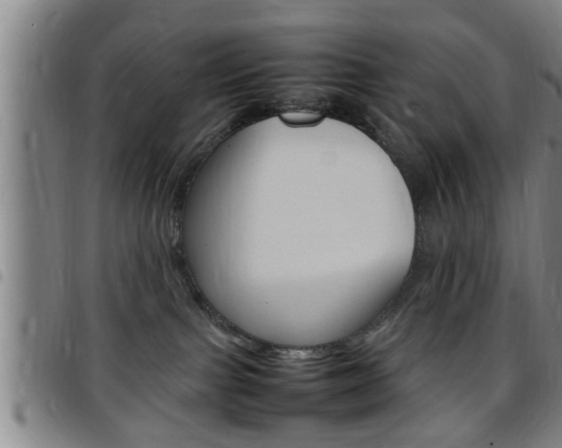 X0000097860091200803140905