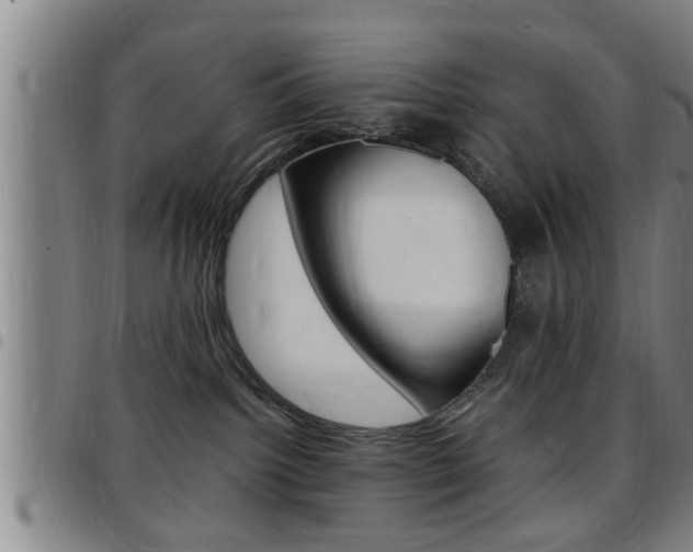 X0000097860092200803140905