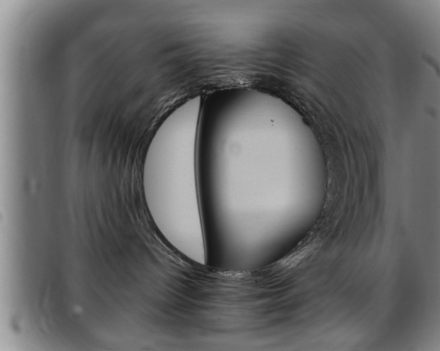 X0000097860096200803140905