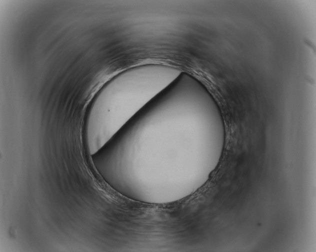 X0000097860098200803140905