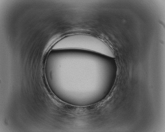 X0000097860101200803140905