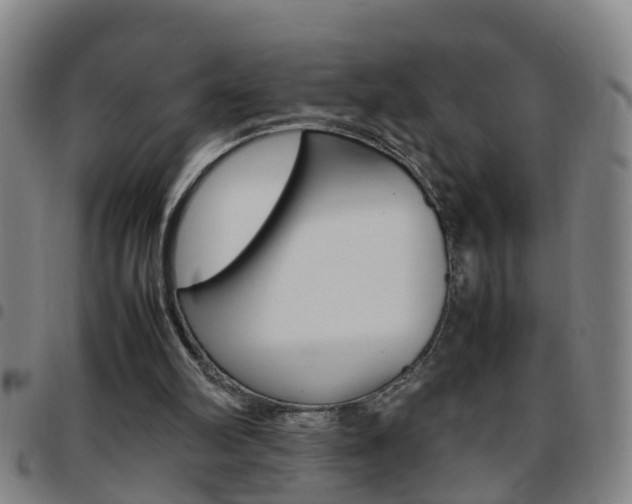X0000097860102200803140905