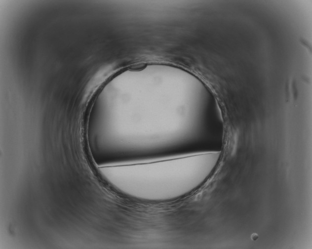 X0000097860103200803140905