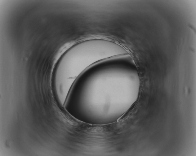 X0000097860104200803140905