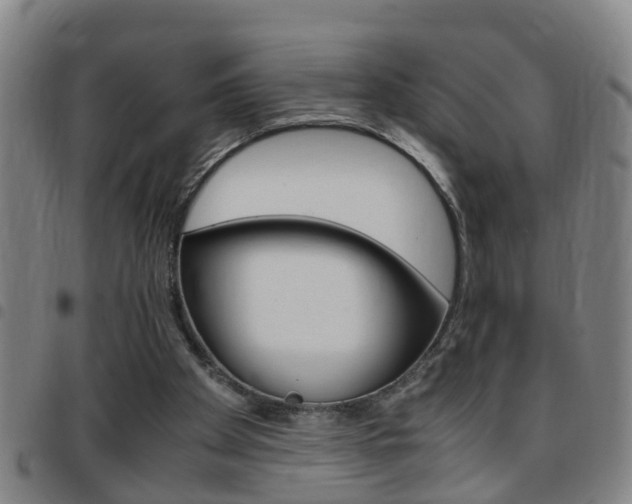 X0000097860105200803140905