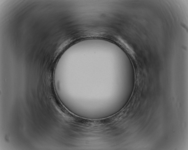 X0000097860107200803140905