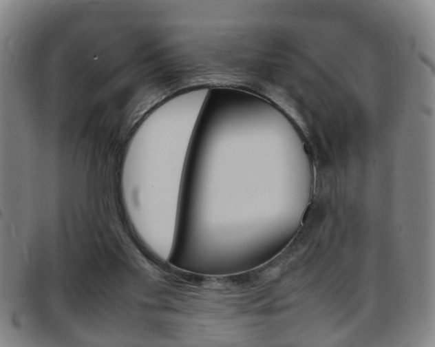 X0000097860109200803140905