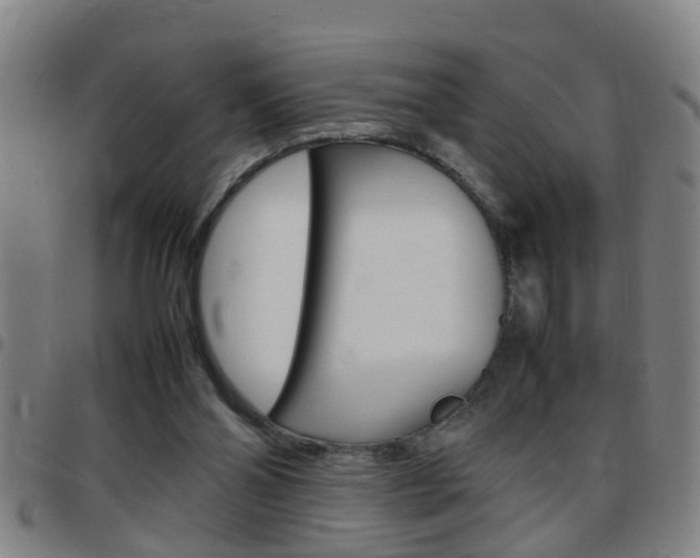 X0000097860110200803140905
