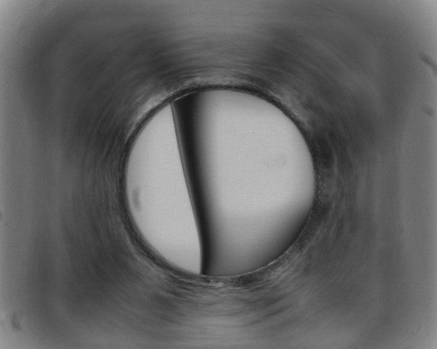 X0000097860111200803140905