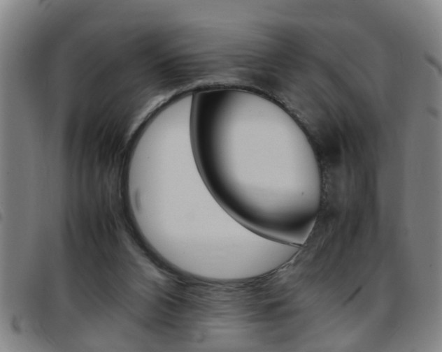 X0000097860112200803140905