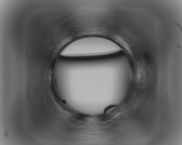 X0000097860115200803140905
