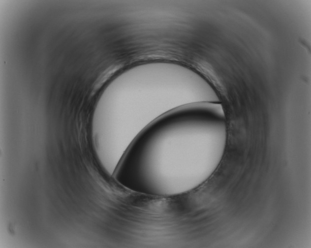 X0000097860116200803140905