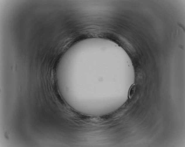 X0000097860121200803140905