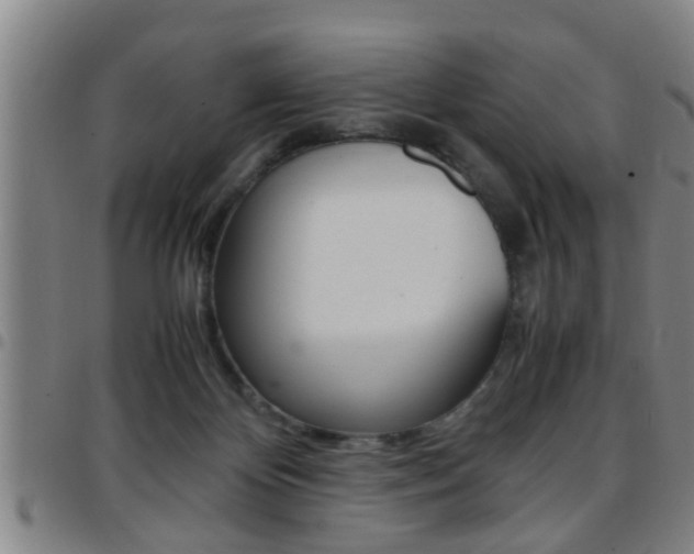 X0000097860124200803140904