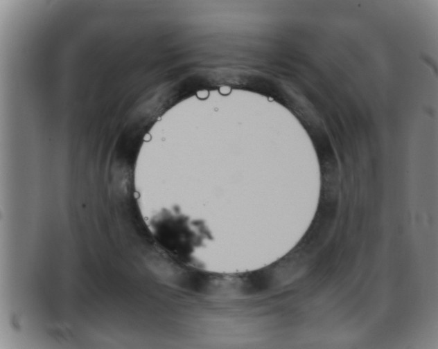 X0000097860125200803140904