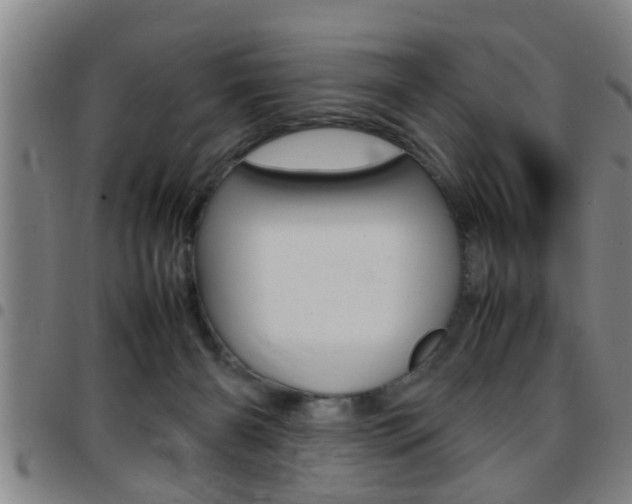 X0000097860126200803140904