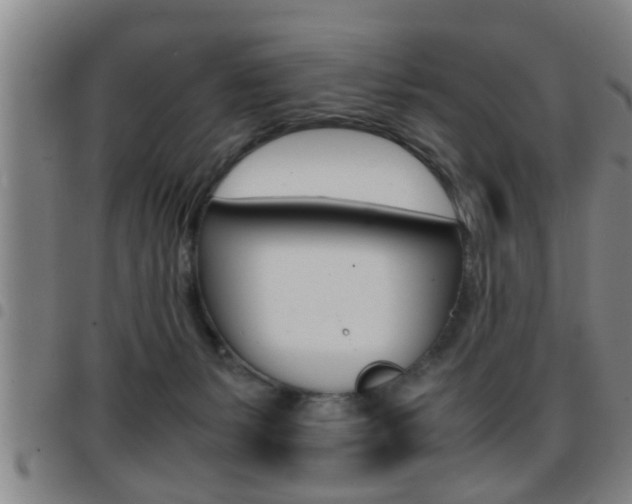 X0000097860127200803140904