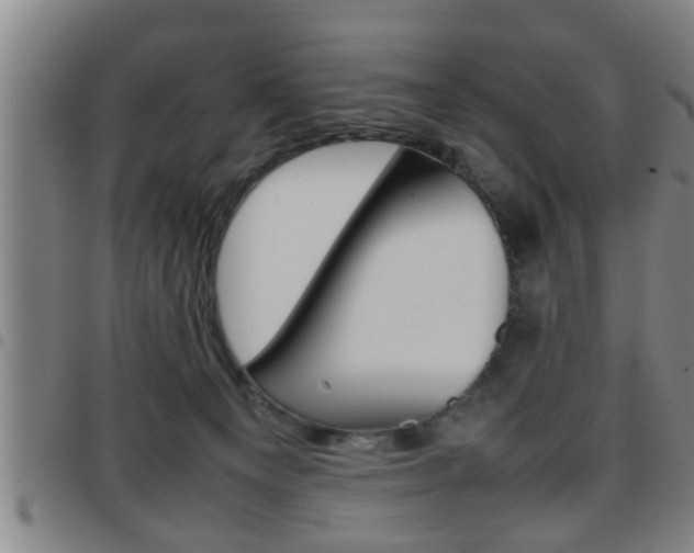 X0000097860129200803140904