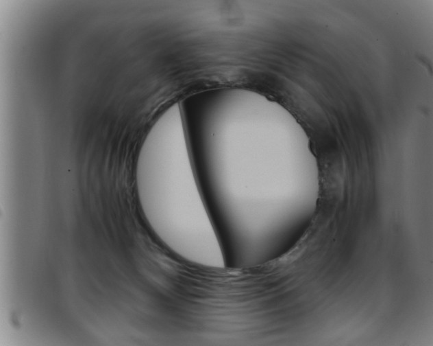 X0000097860132200803140904