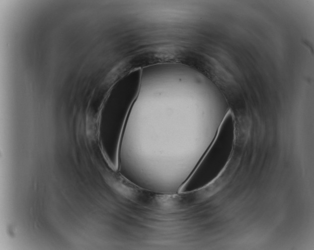 X0000097860136200803140904