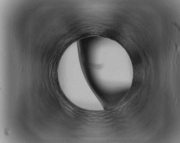 X0000097860137200803140904