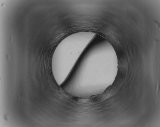 X0000097860139200803140904