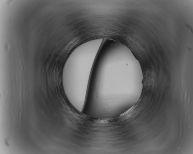 X0000097860140200803140904