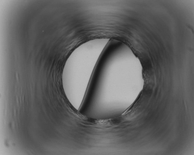X0000097860141200803140904
