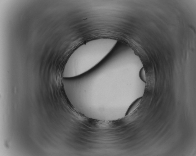 X0000097860142200803140904