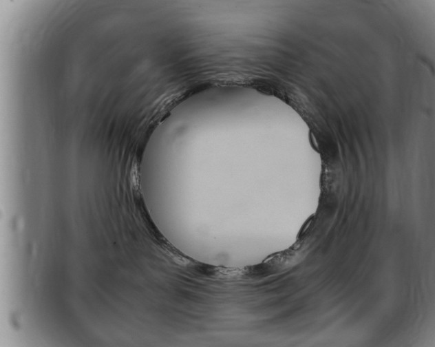 X0000097860143200803140904