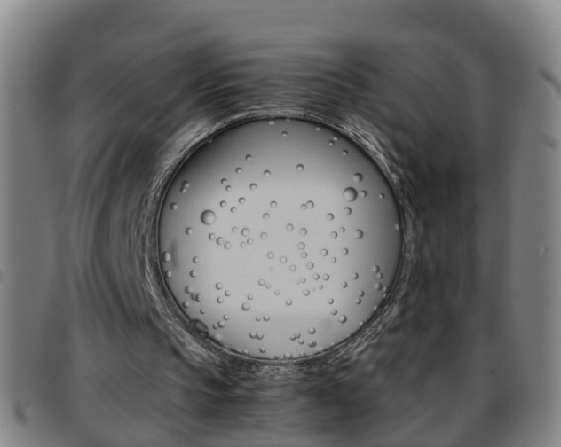 X0000097860145200803140904